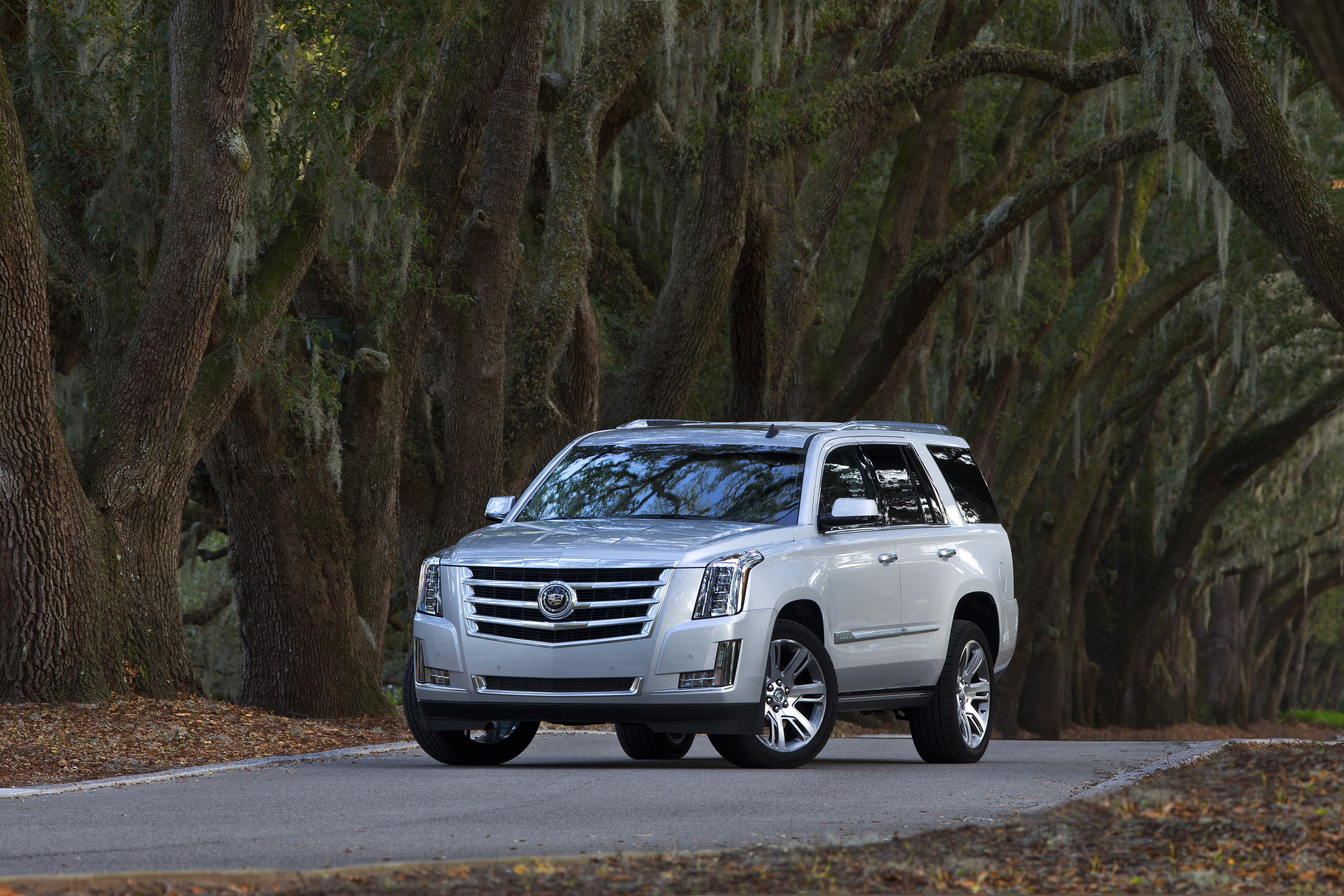 2015 Cadillac Escalade